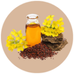 Mustard Oil