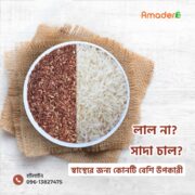 আমন ধানের লাল চাল | Aman Rice Full Fiber 1kg - Image 2